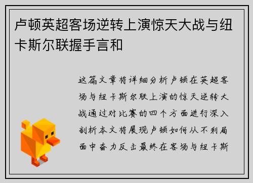 卢顿英超客场逆转上演惊天大战与纽卡斯尔联握手言和 卢顿英超客场逆转上演惊天大战与纽卡斯尔联握手言和